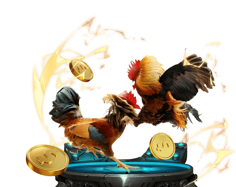Lợi ích khi chơi đá gà tại 99oke Casino
